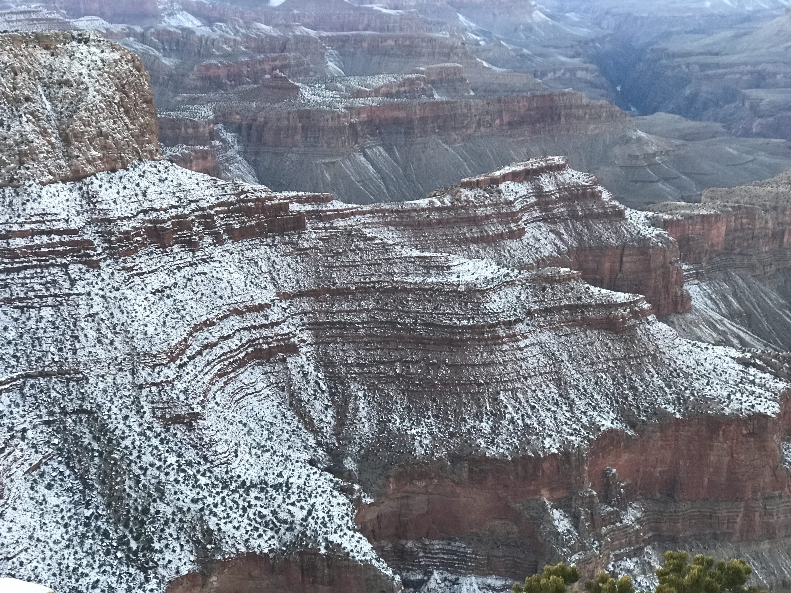 Snow tracing horizontal sedimentary rock layers on a steep slope in Grand Canyon National Park