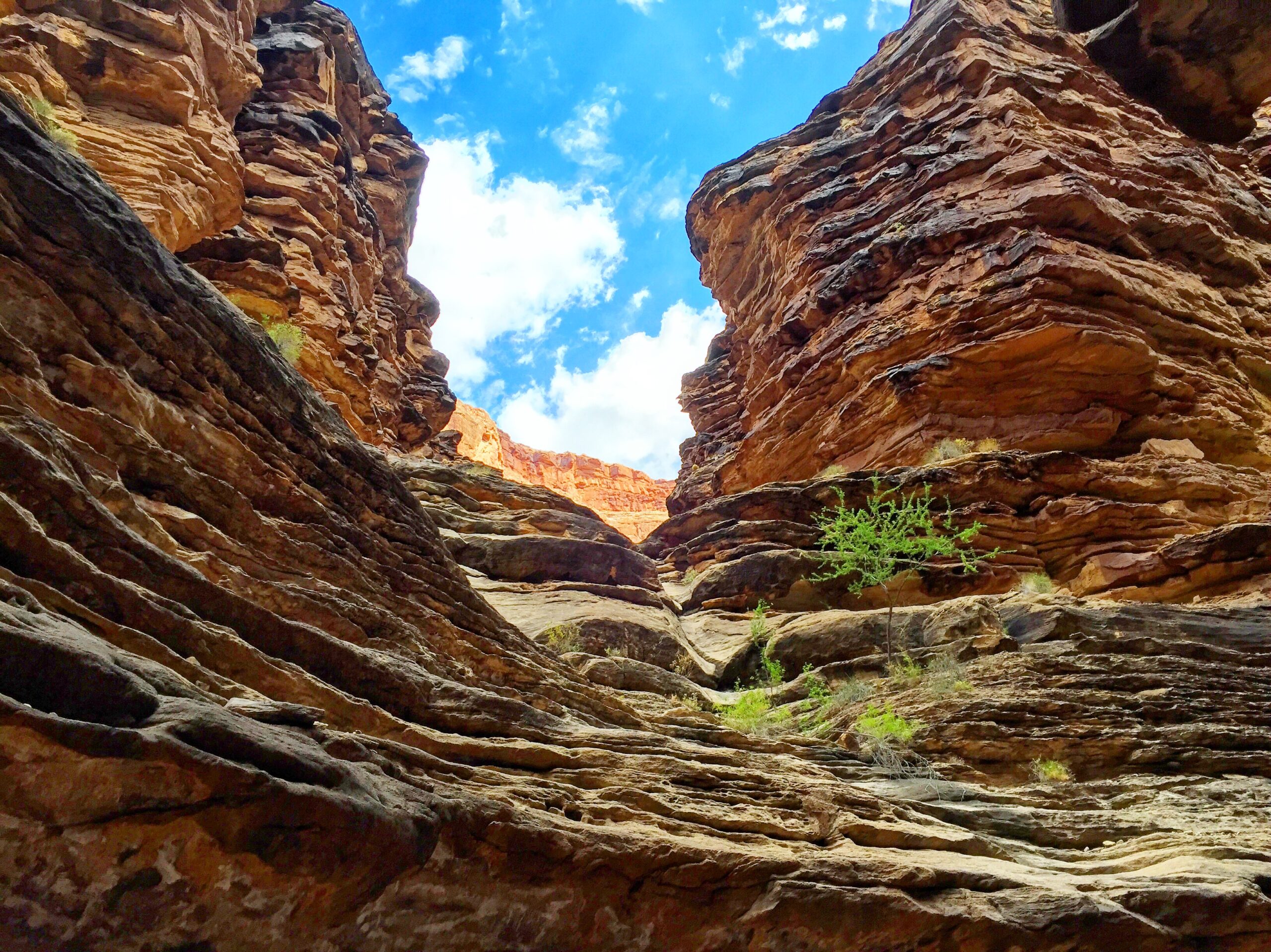 Exposure of the Tapeats Sandstone in Grand Canyon National Park, Arizona